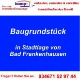 BAUGRUNDSTÜCK in schöner Lage Grundstück kaufen 06567 Bad Frankenhausen Bild klein