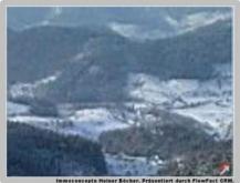 Grosszügige Grundstücke im Schwarzwald Grundstück kaufen 77889 Seebach Bild klein