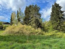 Tolles Grundstück in ruhiger Lage am Rande des Nationalparks Eifel Grundstück kaufen 53937 Schleiden Bild klein