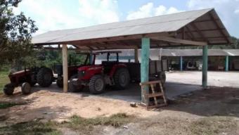 Brasilien 808 Ha Orangen-Kokosnuss-Acai-Fischzucht- Farm mit Privatsee Grundstück kaufen Bild mittel