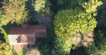 Einfamilienhaus mit gehobener Ausstattung und kleinem Wald in Hesel Haus kaufen 26835 Hesel Bild mittel