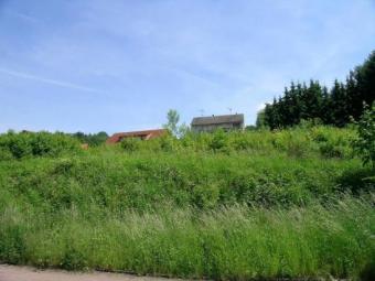 Günstiger Bauplatz in Burghaun, voll erschlossen Grundstück kaufen 36151 Burghaun Bild mittel