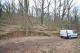 DIETZ: Waldgrundstück auf alter Weinbergsbrache zu verkaufen! Grundstück kaufen 63911 Klingenberg am Main Bild thumb