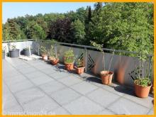 1 7 5 qm wie HAUS im HAUS auf 2 Etagen + große SONNEN- TERRASSE + Spielgarten + 2 KfZ Plätze Wohnung mieten 90542 Eckental Bild klein