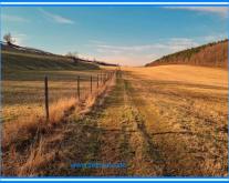 1 ha Ackerland zwischen Wernigerode und Darlingerode Grundstück kaufen 38871 Darlingerode Bild klein