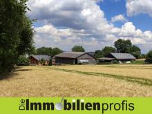 1365 - Nähe Hof: 1-2 Fam.Haus mit Scheune, Halle, Stall und Werkstatt Haus kaufen 95176 Konradsreuth Bild klein