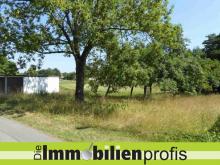 1654 - Nur 24 Euro/ m² ? Grundstück mit 2 Garagen Nähe Regnitzlosau Grundstück kaufen 95194 Regnitzlosau Bild klein