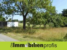 1654 - Nur 24 Euro/ m² ? Grundstück mit 2 Garagen Nähe Regnitzlosau Grundstück kaufen 95194 Regnitzlosau Bild klein