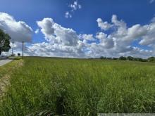 2 schöne ebene Grundstücke in Taura... ca. 36m x 27m Grundstück kaufen 09249 Taura Bild klein