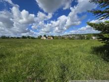 2 schöne ebene Grundstücke in Taura... ca. 36m x 27m Grundstück kaufen 09249 Taura Bild klein