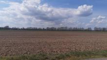 63,9 ha Acker- und Waldflächen in Trebitz und Brück Grundstück kaufen 14822 Brück Bild klein