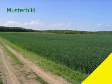 Acker und Wiesenflächen zum Verauf in der Gemarkung Weinberg Grundstück kaufen 91589 Aurach Bild klein