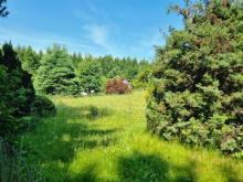 Am Einsiedler Wald! Voll erschlossenes Baugrundstück in Toplage - Bauträgerfrei und Provisionsfrei! Grundstück kaufen 09128 Chemnitz Bild klein
