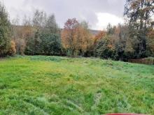 Am Rande der Natur – das letzte Grundstück in ruhiger Lage. 2 Doppelhäuser mit 4 WE möglich. Grundstück kaufen 32429 Minden Bild klein