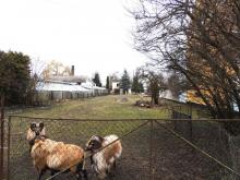 Attraktives Baugrundstück in Aken (Elbe) Ihre Chance für ein neues Projekt Grundstück kaufen 06385 Aken (Elbe) Bild klein