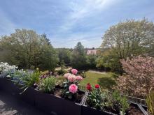 *** Aufgepasst *** Helle und freundliche Dachterrassenwohnung in München nahe des Pfanzeltplatzes Wohnung kaufen 81737 München Bild klein