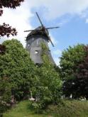 Ausgebaute Windmuehle in 27246 Borstel Bietunterlagen anfordern Haus kaufen 27246 Borstel (Landkreis Diepholz) Bild klein