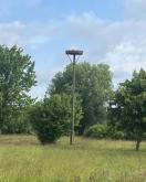 Bauernhof mit landwirtschaftlicher Fläche Gewerbe kaufen 03238 Finsterwalde Bild klein