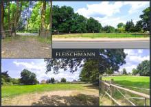 Baugrundstück für bis zu 5 Eigenheime – nur einen Katzensprung von Leipzig! Grundstück kaufen 04838 Doberschütz Bild klein