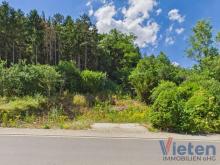 Bauland mit eigenem Wald – ein Grundstück mit besonderem Charakter Grundstück kaufen 53894 Mechernich Bild klein
