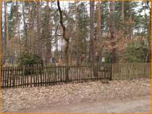 Bauland mit vielen Möglichkeiten Grundstück kaufen 14547 Beelitz (Landkreis Potsdam-Mittelmark) Bild klein