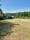 Bauträgerfrei und Provisionsfrei! - Voll erschlossenes Baugrundstück in Toplage am Einsiedler Wald! Grundstück kaufen 09128 Chemnitz Bild klein