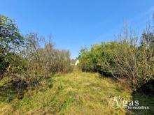 Bauträgerfreies Traumgrundstück mit ca. 1.000 m² in ruhiger Lage von Groß Lindow Grundstück kaufen 15295 Groß Lindow Bild klein