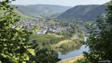 Beliebter Campingplatz mit Blick auf die Mosel mit Betreiberwohnung und Erweiterungsmöglichkeit Gewerbe kaufen 54317 Gusterath Bild klein