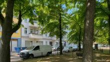 Bezugsfreies, großzügiges Altbau-Apartment im aufstrebenden Afrikanischen Viertel Wohnung kaufen 13351 Berlin Bild klein