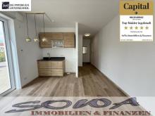 Boarding Apartment oder Büro im Erdgeschoss mit Terrasse und 2 Stellplätzen - Ein Objekt von Ihrem Immobilienpartner SOWA Immobilien und Finanzen Gewerbe kaufen 86633 Neuburg an der Donau Bild klein