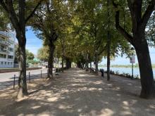 BONN Zentrum, tolle 3,5 Zi. Maisonnette-Whg, 93 m² Wfl. im 4 Part. Haus ca. 100 m vom Rhein, Balkon Wohnung mieten 53111 Bonn Bild klein