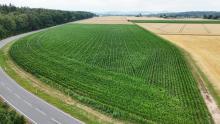 DIETZ: Ackerlandfläche direkt an einer Landstraße zu verkaufen zwischen Groß-Umstadt und Münster! Grundstück kaufen 64823 Groß-Umstadt Bild klein