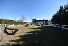 DIETZ: **VERKAUFT** Platz Für Ross und Reiter! Wohnhaus + Gewerbegebäude mit 6 Pferdestallungen Gewerbe kaufen 64832 Babenhausen Bild klein