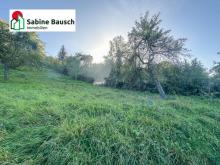 Dornrösschen Garten - Prinz gesucht! Grundstück mieten 73630 Remshalden Bild klein