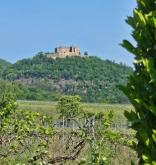 Ein verstecktes Juwel, angrenzend an die Weinberge mit Blick auf das Hambacher Schloss Grundstück kaufen 67487 Maikammer Bild klein