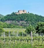 Ein verstecktes Juwel, angrenzend an die Weinberge mit Blick auf das Hambacher Schloss Haus kaufen 67487 Maikammer Bild klein