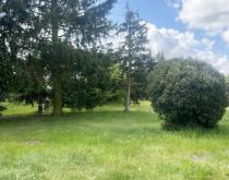 Einfamilienhaus - Bezugsfrei Haus kaufen 03253 Tröbitz Bild klein