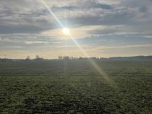 Einfamilienhaus in Alleinlage Haus kaufen 03253 Doberlug-Kirchhain Bild klein