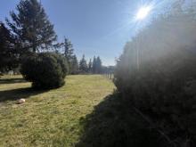 Einfamilienhaus mit viel Platz Haus kaufen 03253 Tröbitz Bild klein