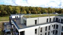 Exklusive Penthouse-Wohnung mit TG-Stellplatz zu vermieten - barrierefrei u. zentrumsnah Wohnung mieten 50126 Bergheim Bild klein