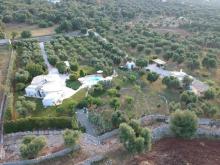 Ferienhaus - Italien-Apulien-Ostuni... wunderschöne Ferienhäuser auf einer Olivenplantage Haus 70178 Stuttgart Bild klein