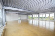 Großes Atelier zur vielfältigen Nutzung geeignet! Gewerbe mieten 50389 Wesseling Bild klein
