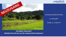 Großzügige Landwirtschaftsfläche in Untermaxfeld - Ein Objekt von SOWA Immobilien & Finanzen Ihrem Immobilienprofi vor Ort Grundstück kaufen 86669 Königsmoos Bild klein