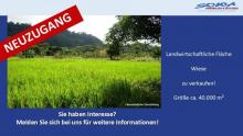 Großzügige Landwirtschaftsfläche / Wiese in Königsmoos, evtl. Ausgleichsfläche oder PV - Ein Objekt von SOWA Immobilien & Finanzen Ihrem Immobilienprofi vor Ort Grundstück kaufen 86669 Königsmoos Bild klein