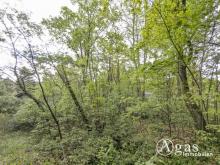Großzügiges Baugrundstück in begehrter Wohnlage von Caputh Grundstück kaufen 14548 Schwielowsee Bild klein