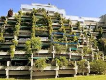 Grüner Wohnen in einer kernsanierten 2,5-Zimmer-Wohnung mit Südterrasse in Bogenhausen - München Wohnung kaufen 81925 München Bild klein