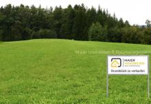 Grundstück mit vielen Möglichkeiten für Ihr neues Zuhause Grundstück kaufen 85080 Gaimersheim Bild klein