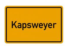 Günstiges Dorfhaus mit schönem Grundstück, ideal als Ferienhaus in der Südpfalz Haus kaufen 76889 Kapsweyer Bild klein