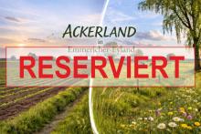 Gut erreichbares Ackerland in Emmericher-Eyland! Grundstück kaufen 47546 Kalkar Bild klein