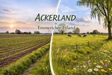 Gut erreichbares Ackerland in Emmericher-Eyland! Grundstück kaufen 47546 Kalkar Bild klein
